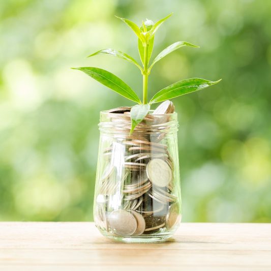 STAP-budget van 1000 euro voor opleidingen en trainingen van Keninscentrum Sociaal Domein